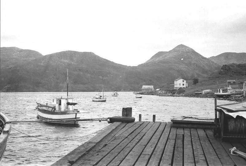 Torsken-10