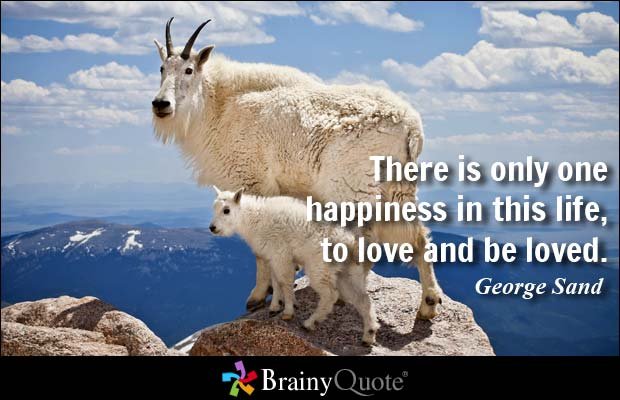 georgesand383232