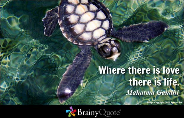 mahatmagandhi100717