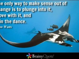 alanwatts386511