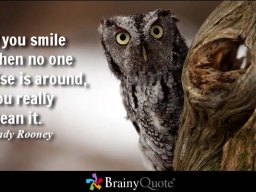 andyrooney162017