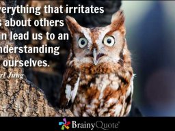 carljung114802