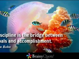 jimrohn109882