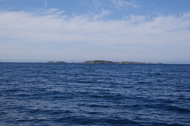 DSC01791
