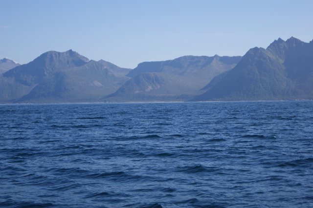 DSC01800