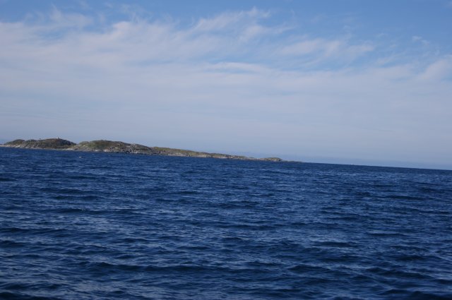 DSC01806