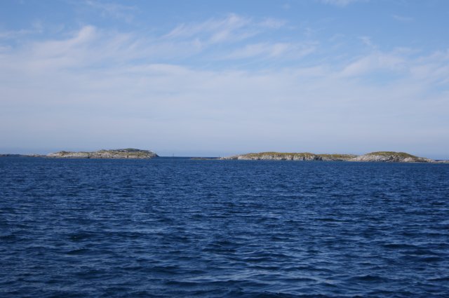 DSC01817