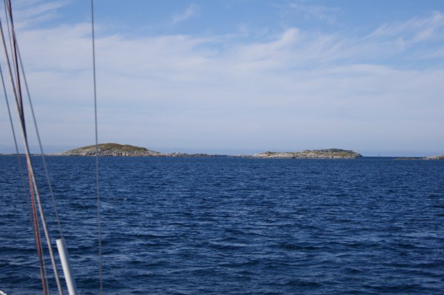 DSC01818