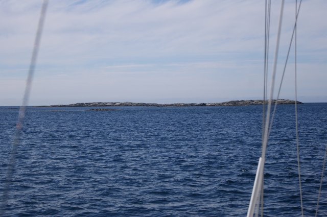 DSC01819