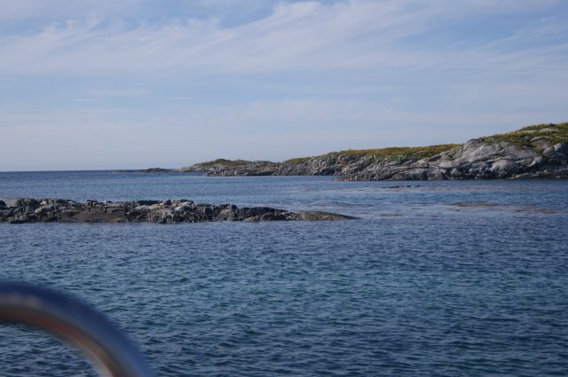 DSC01848