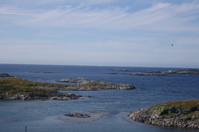 DSC01903