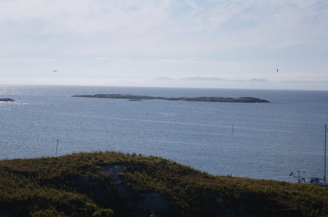 DSC01905