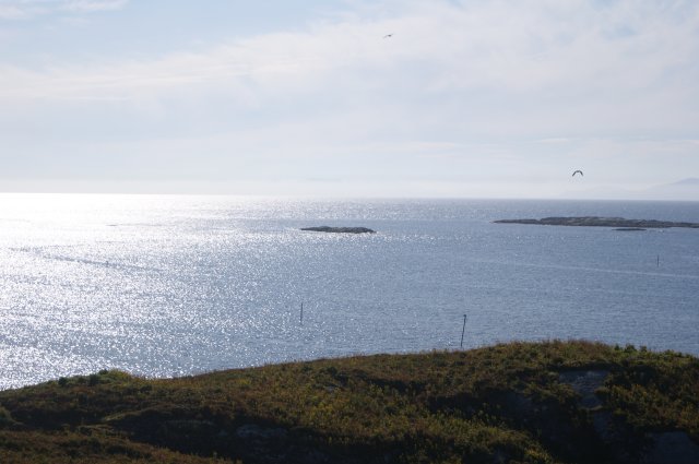 DSC01906