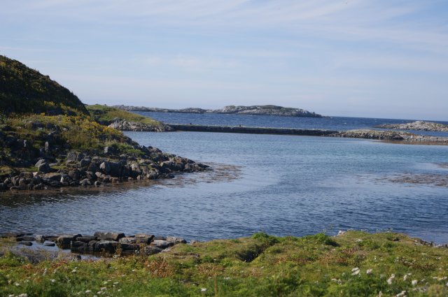 DSC01921