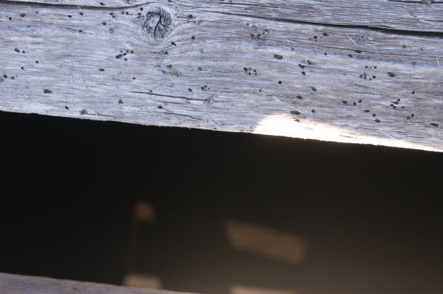 DSC01939