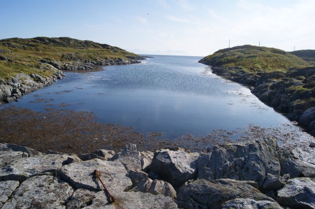 DSC01973
