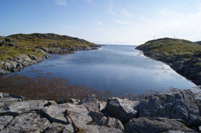DSC01974
