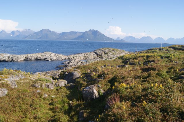 DSC01978