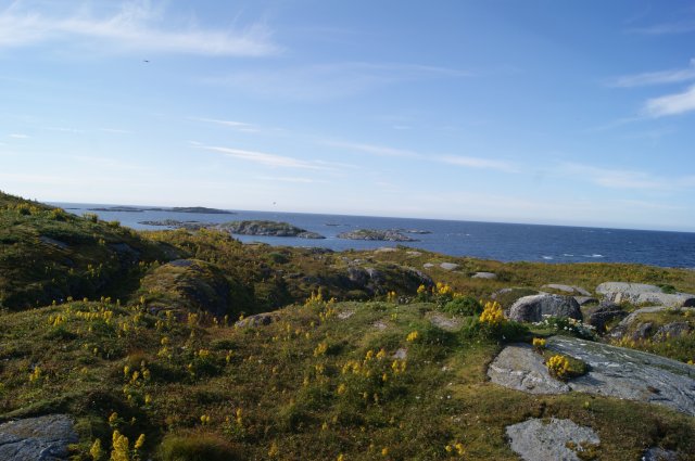 DSC01989