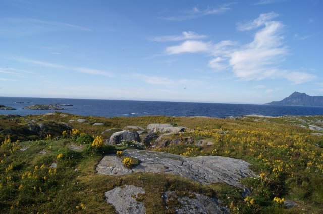 DSC01990