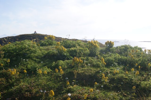 DSC01998