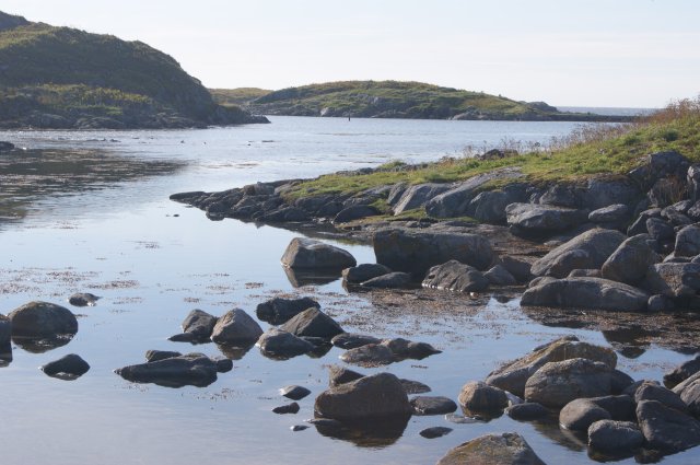 DSC02019
