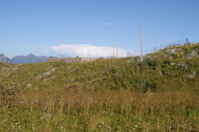 DSC02026