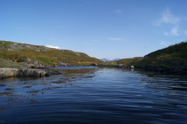 DSC02031