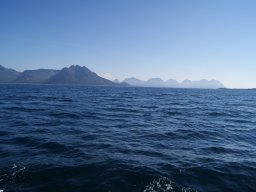 DSC01796