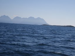 DSC01797