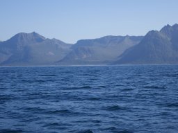 DSC01800