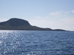 DSC01802