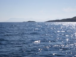DSC01803