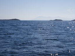 DSC01804