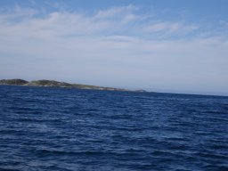DSC01806