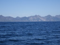 DSC01808