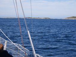 DSC01811