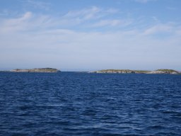DSC01817