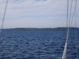 DSC01819