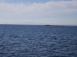DSC01820