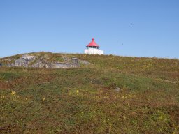 DSC01869