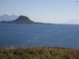 DSC01889