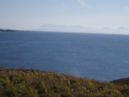 DSC01890