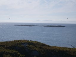 DSC01905