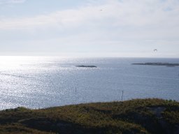 DSC01906