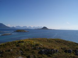 DSC01910