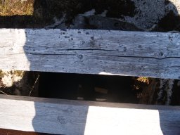 DSC01938