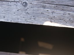 DSC01939