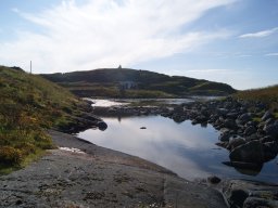 DSC01961