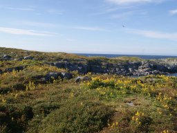 DSC01980